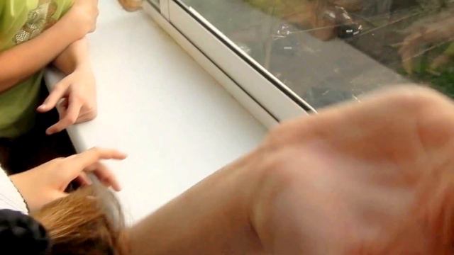 Russian girl bends fingers // 13-year-old girl bends her fingers // Девочка 13 лет гнет пальцы смотреть онлайн