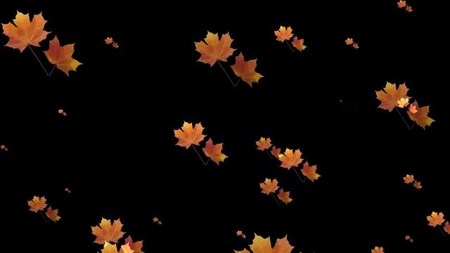 Листья кленовые смотреть онлайн