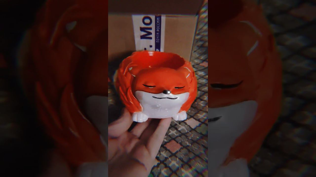 ✔ ПОКУПКИ С АВИТО | Новый житель лисьего семейства #shorts #live #покупки #авито