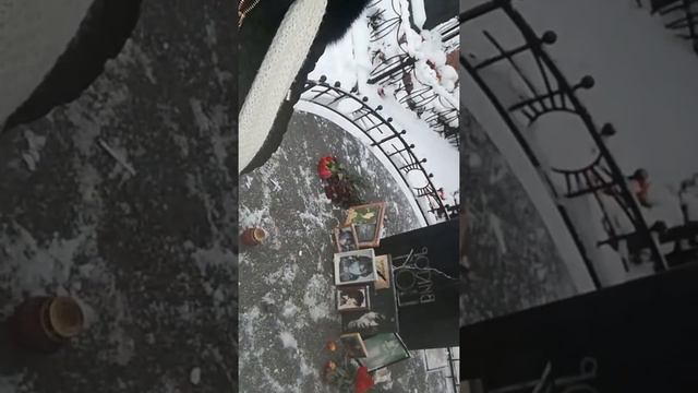 На могиле цоя смотреть онлайн