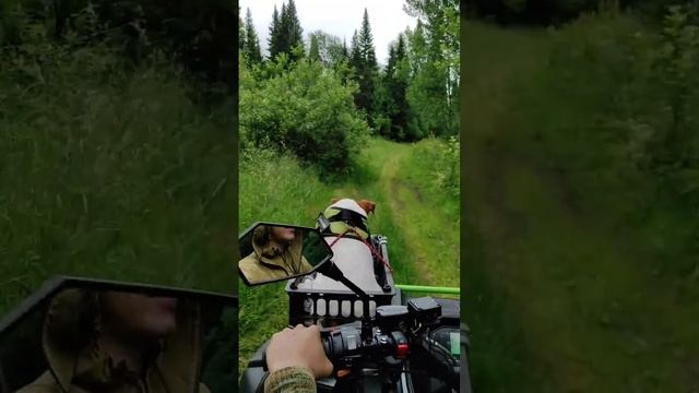 Сэм катается на квадроцикле РМ650-2 смотреть онлайн