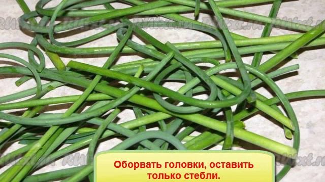 Заготовка из стрелок чеснока смотреть онлайн