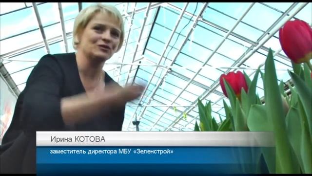 МБУ «Зеленстрой» приглашает на «Парад тюльпанов» смотреть онлайн