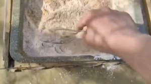 Белковая подкормка для старта пчёл весной