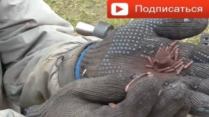 Замена крестовины кардана