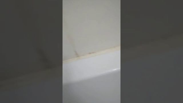 КАК , чем УБРАТЬ заделать замазать заклеить ЩЕЛЬ между ВАННОЙ и стеной решение проблемы! смотреть онлайн