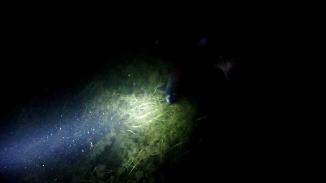 Чукотка, смотреть онлайн