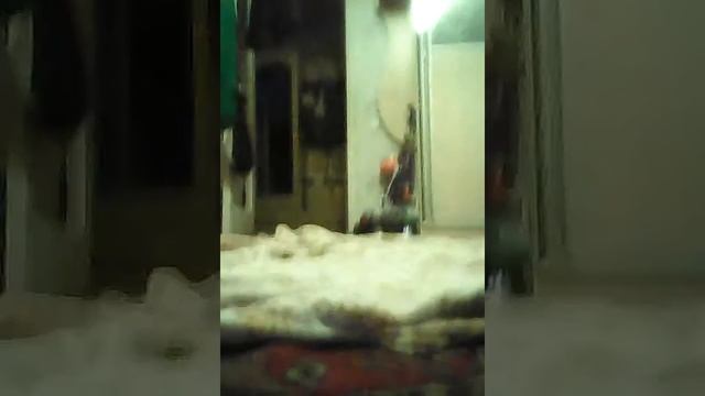 Делаем подъём с прогибом смотреть онлайн