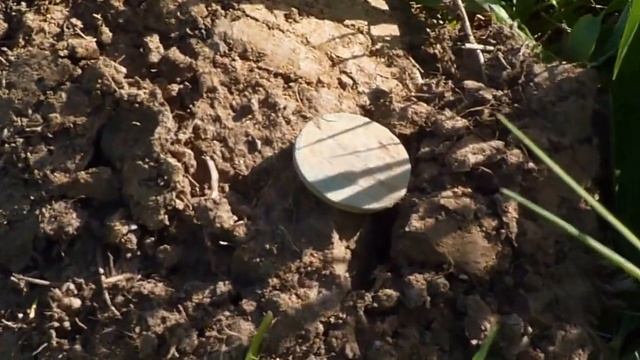 МЕТАЛЛОИСКАТЕЛЬ X-TERRA 505 смотреть онлайн