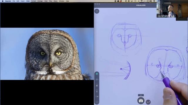 How to Draw Owls with John Muir Laws (Part 1 of 2) смотреть онлайн
