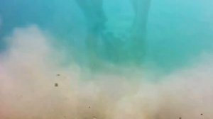 Ловля сазана, карпа, белого амура. Подводная съемка