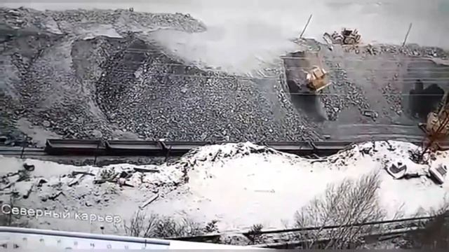 Премия Дарвина | Darwin Awards 20.11.2020