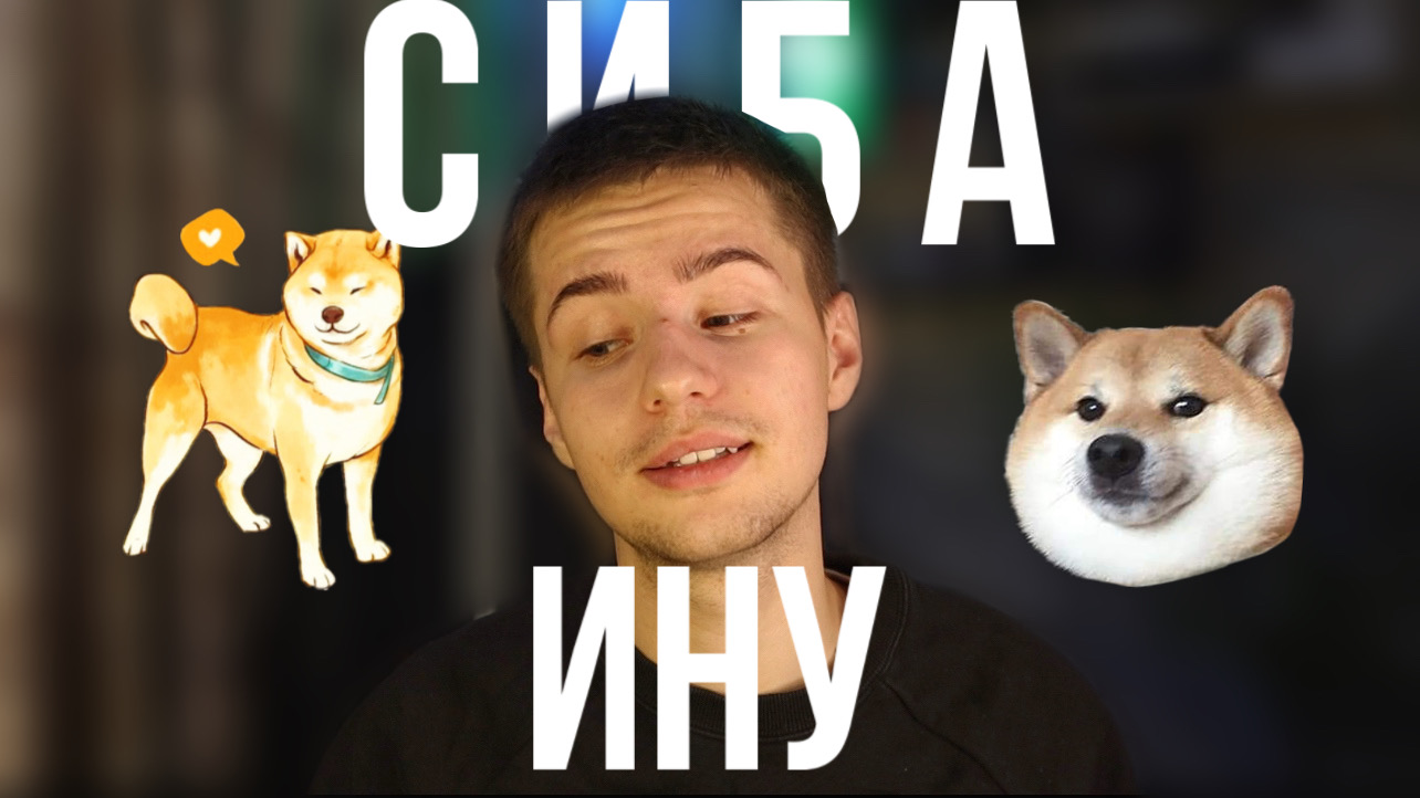 ПОКУПКА СОБАКИ смотреть онлайн