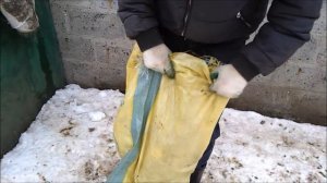 Мускусные утки разных окрасов. Сколько весят индоутки.