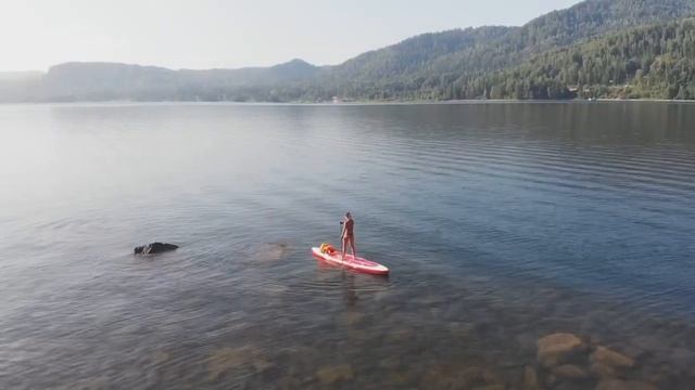 Sup на Телецком озере. смотреть онлайн