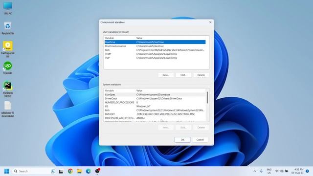 Install MySQL on Windows 11 and Connect with JetBrains PyCharm смотреть онлайн