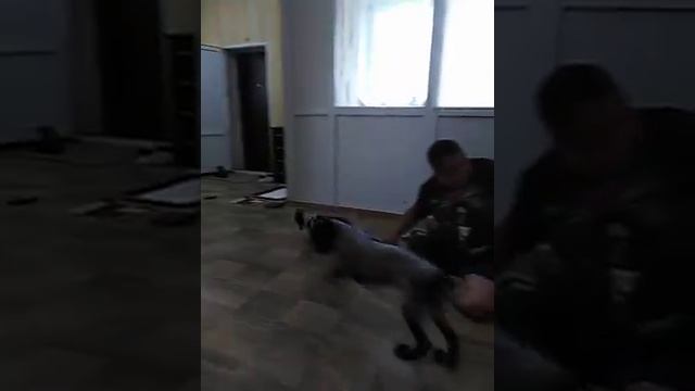 Учимся подавать смотреть онлайн