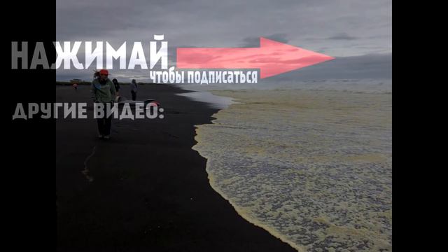 Названы две возможные причины загрязнения воды на Камчатке | Новости смотреть онлайн