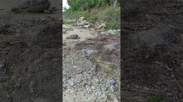 Deja vu смотреть онлайн