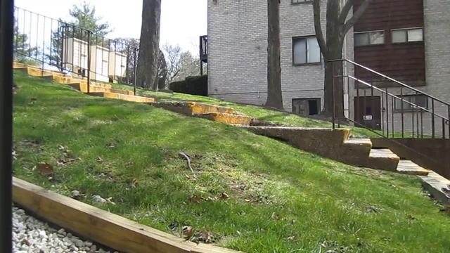 Canon Powershot SD1400 IS 720HD TEST 4 смотреть онлайн