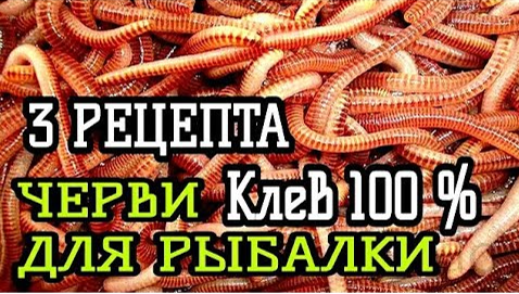 КАК ПРИГОТОВИТЬ ЧЕРВЯ ДЛЯ РЫБАЛКИ - ТРИ СПОСОБА. ЧЕРВЬ ЛУЧШАЯ НАСАДКА НА КАРАСЯ смотреть онлайн