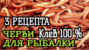 КАК ПРИГОТОВИТЬ ЧЕРВЯ ДЛЯ РЫБАЛКИ - ТРИ СПОСОБА. ЧЕРВЬ ЛУЧШАЯ НАСАДКА НА КАРАСЯ