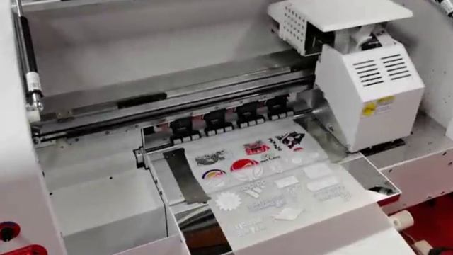 Audley DTF printer 30cm Dual head Xp600 | BUY Production printer 6 metr per Hour Guranteed !! смотреть онлайн