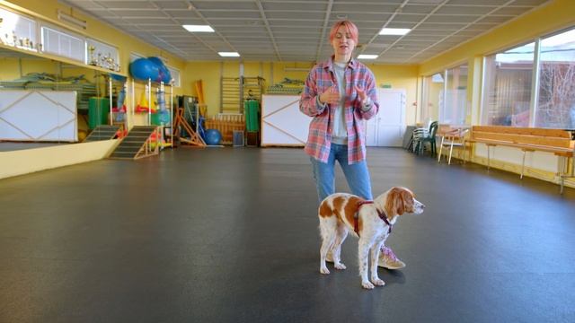 Учим Делать с Душой