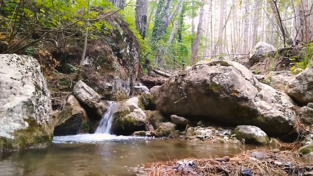 Расслабляющие звуки природы: пение птиц и шум воды. Звуки горной реки для медитации и сна смотреть онлайн
