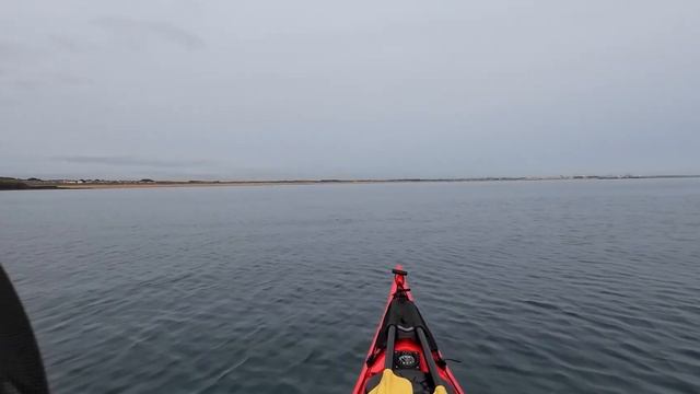 Dolphin Encounter At St Mary's Island смотреть онлайн