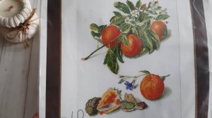 Вышивка крестом. Итоги ноября. Финиши, старты, процессы, покупки, планы, новинки.