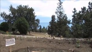 Новый свет Крым гостиница Новый Свет июнь 2017