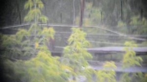 Обзор-сравнение биноклей Б-12 СССР с БП 12х40 Зомз Кронос.