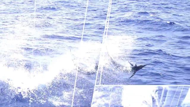 SA Co. | Fishing around the World SA Style | SA Fishing TV смотреть онлайн