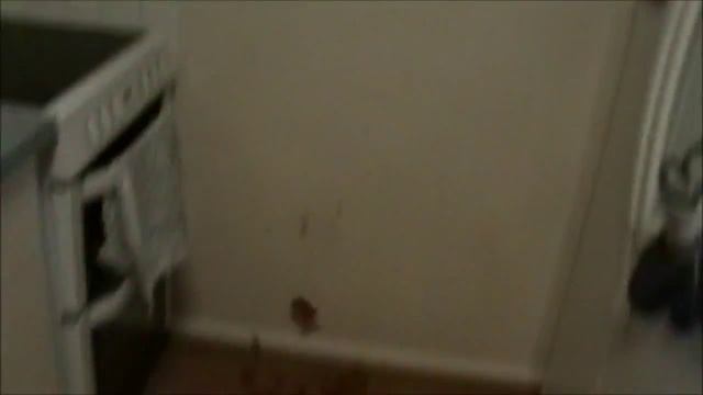 Как приготовить сосиску в тесте смотреть онлайн