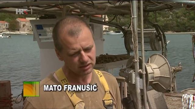 Kroatien,Croatia -Mali Ston -natural oysters farming смотреть онлайн
