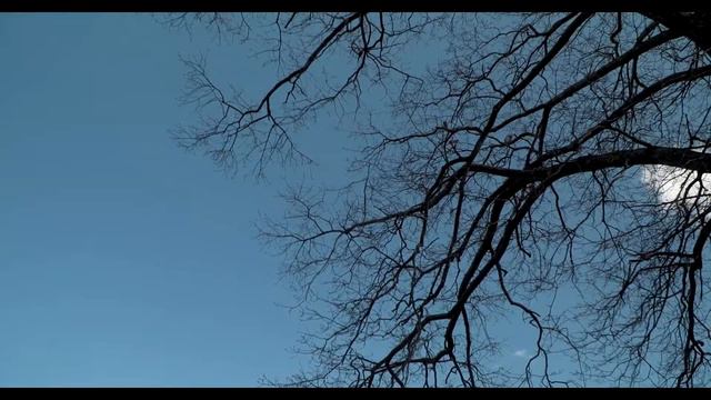 Sako Isoyan, Albert Mauri - Vivid Memories (Remixed By Me)