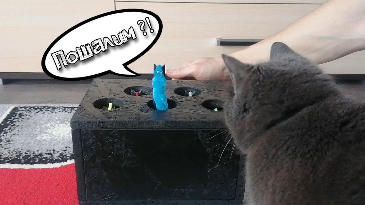 Игрушка для кота “Поймай червячка” своими руками смотреть онлайн