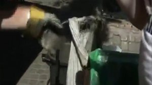 Нищета обетованная.Жизнь евреев в Израиле.