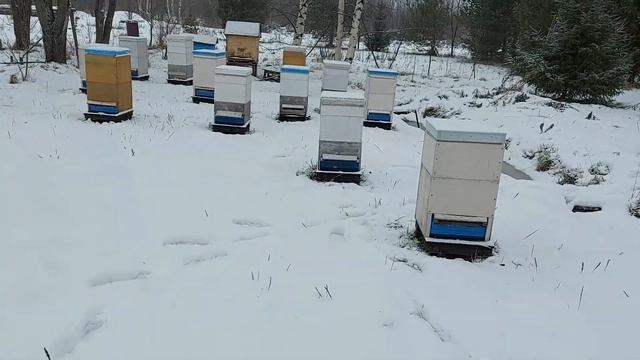 2021 год Начало зимовки смотреть онлайн