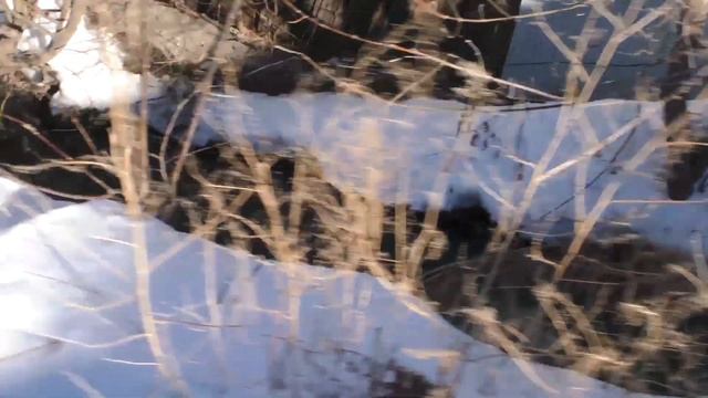 Озеро Смолино в Челябинске утопает в фекалиях и канализационных стоках! смотреть онлайн