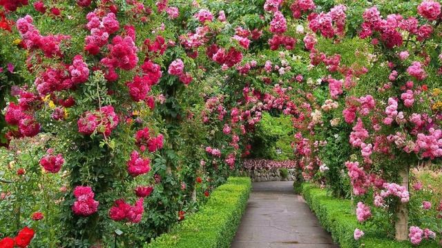 Обзор на пудовые ароматы: Amouage, Atelier Cologne , Attar Collection, Dr. Gritti смотреть онлайн