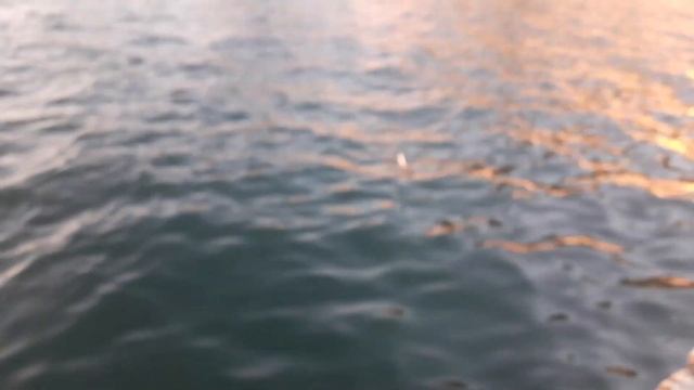 Рыбалка в Сочи с волнореза: морская собачка, смарида и бычок смотреть онлайн