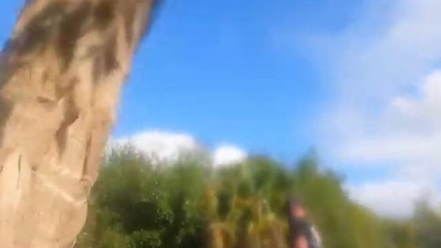 How to: Catch a 16 ft python! смотреть онлайн