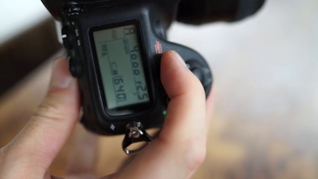 Buying a Nikon D700 Today? - A Cheap Professional Full-Frame Camera! смотреть онлайн