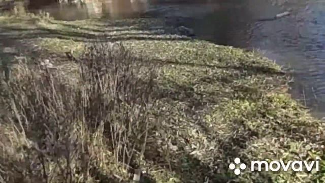 Что происходит на речке смотреть онлайн