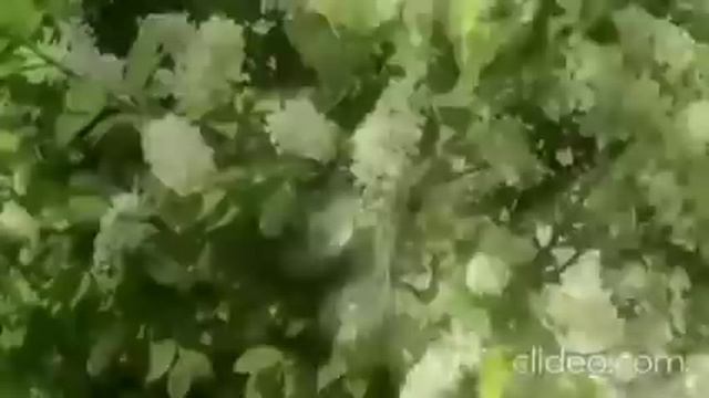 Коля друг Самвела. GRANDENIKO VLOG. Обзор канала.