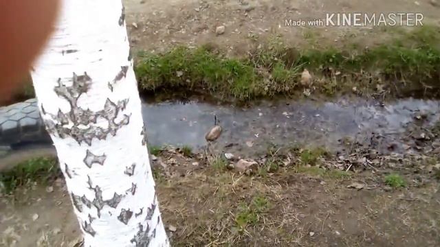 Влог/На даче/Часть 2 смотреть онлайн