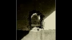 Елена Фролова -  Была б жива Цветаева...