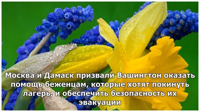 Лагерь беженцев "Эр-Рукбан": спасать скоро будет некого смотреть онлайн